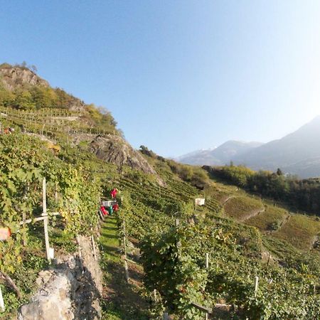 Winebnb Sondrio Ngoại thất bức ảnh