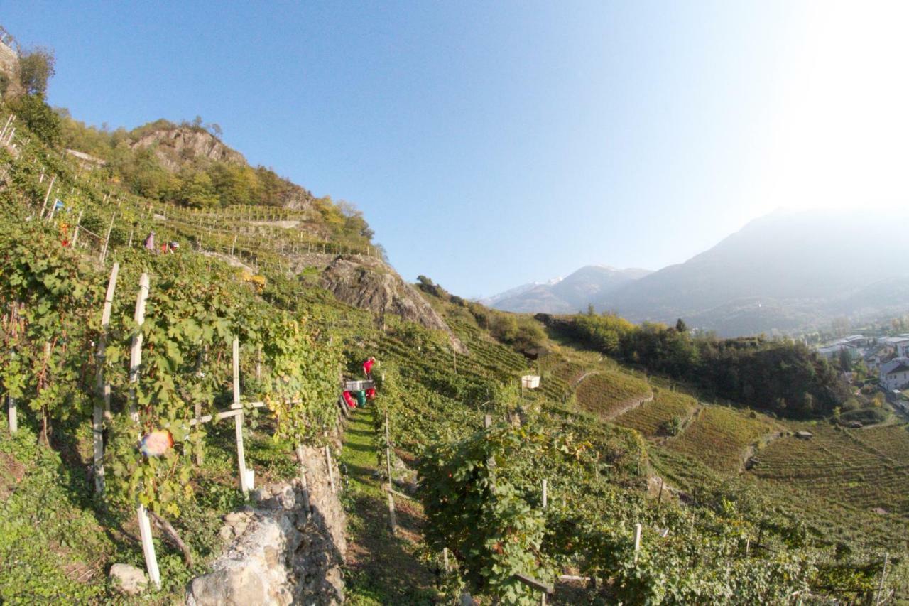 Winebnb Sondrio Ngoại thất bức ảnh